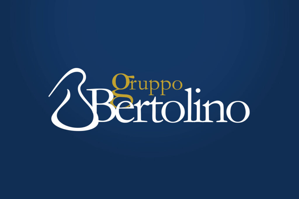 portfolio Gorange - web design - Gruppo Bertolino